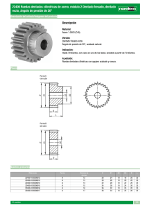 22400 Ruedas dentadas cilíndricas de acero, módulo 2
