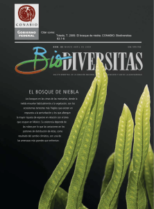 eL bosQue de niebLa - Biodiversidad Mexicana