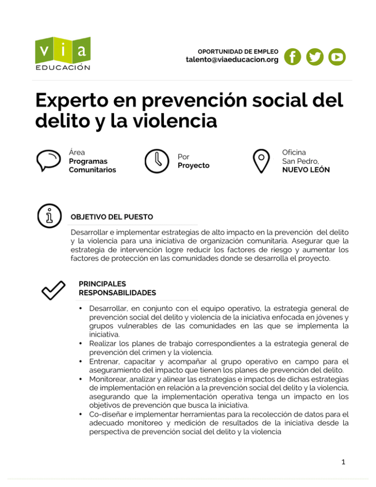 Experto En Prevención Social Del Delito Y La Violencia