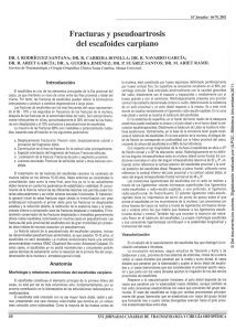 Fracturas y pseudoartrosis del escafoides carpiano