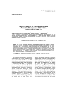 Marea roja producida por Lingulodinium polyedrum (Peridiniales