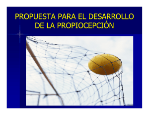 Propiocepción - Deportologia Pediatrica.com