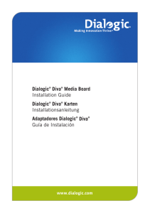 Diva Media Board Installation Guide