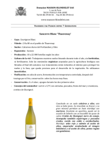 Sancerre Blanc Thauvenay 2014 - Domaine Masson