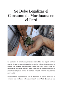 Se Debe Legalizar el Consumo de Marihuana en el Perú