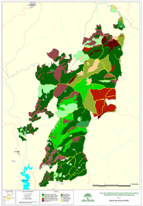 MAPA DE VEGETACIÓN