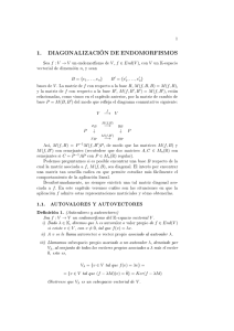 Teoría de diagonalización de endomorfismos.
