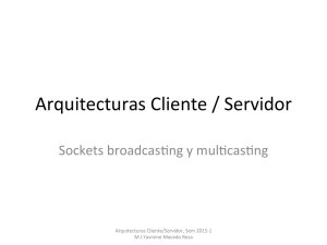 Arquitecturas Cliente / Servidor