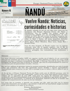 Vuelve Ñandú: Noticias, - Parque Nacional Torres del Paine
