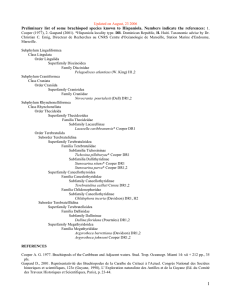 Preliminary list of some brachiopod species known to