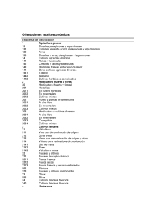 Orientaciones tecnicoeconómicas