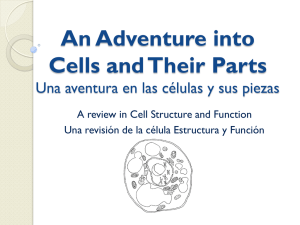 An Adventure into Cells and Their Parts