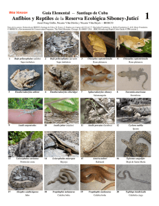 Anfibios y Reptiles de la Reserva Ecológica Siboney