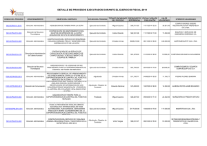 detalle de procesos ejecutados durante el ejercicio fiscal 2014