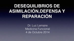 Dr. Luc Lemaire Medicina Funcional 4 de Octubre 2014