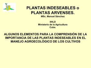 PLANTAS INDESEABLES. M. Sc. Manuel Sánchez IIHLD Ministerio