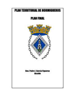 Plan Territorial Final Hormigueros
