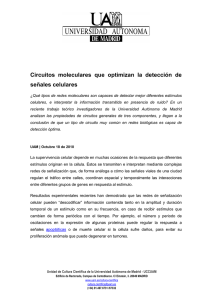Circuitos moleculares - Universidad Autónoma de Madrid