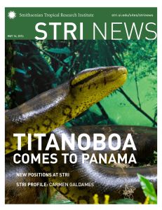 comes to panama - Smithsonian Tropical Research Institute