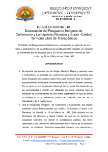TLT. Cañamomo y Lomaprieta. resolucion 018. dic. 09.