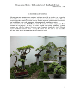 Manual bonsai 1