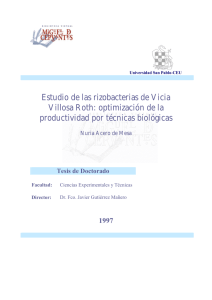 pdf Estudio de las rizobacterias de Vicia Villosa Roth: optimización