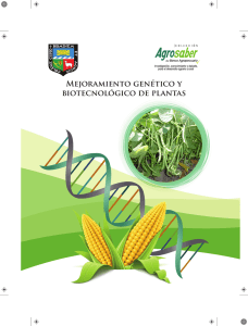 Mejoramiento genético y biotecnológico de plantas