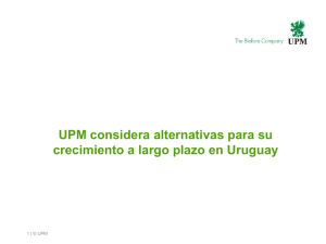 UPM considera alternativas para su crecimiento a largo plazo en
