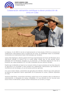 Colaboración vietnamita contribuye a elevar producción de arroz en