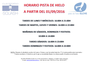 HORARIO PISTA DE HIELO (07-01