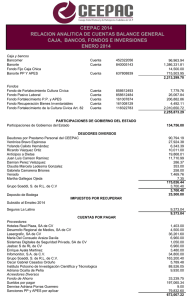 Relación Analitica cuentas Balance General Enero 2014