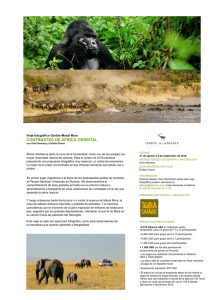 Viaje fotográfico Gorilas Masai Mara