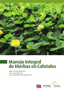Manejo Integral de Hierbas en Cafetales