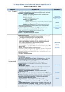 matriz temporal cirugia de colon: hemicolectomia derecha periodo