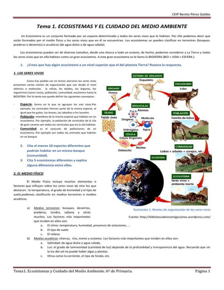 tema 1 ecosistemas y el cuidado del medio ambiente