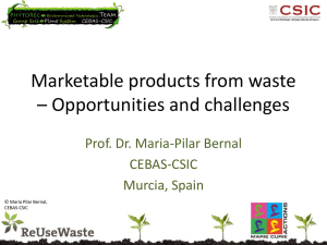 Marketable products from waste – Opportunities and challenges