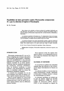 Possibilités de lutte préventive contre Phoracantha semipunctata (F