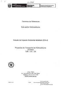 Términos de Referencia - Ministerio de Energía y Minas