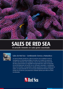 Sales de Red Sea Sales de Red Sea Coral Pro