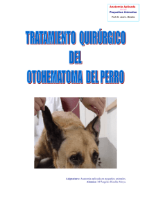 Tratamiento Quirúrgico del Otohematoma del Perro.