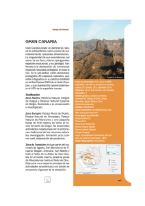 List RB 31 Gran Canaria tcm7-47654 - Biosfera