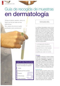 en dermatología - Leti Animal Health
