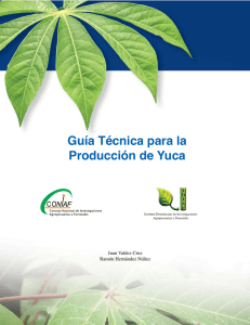 Guía Técnica para la Producción de Yuca