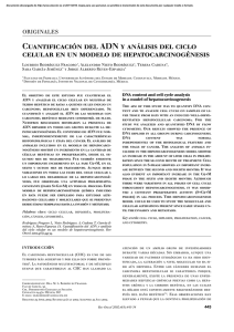 Cuantificación del ADN y análisis del ciclo celular en un modelo de