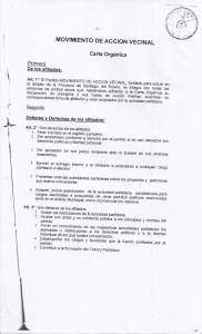 Movimiento de Acción Vecinal - Dirección Nacional Electoral