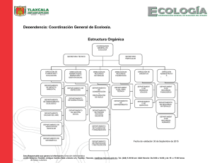 Estructura Orgánica Dependencia: Coordinación General de Ecología.