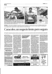 ARTICULO PERiODICO