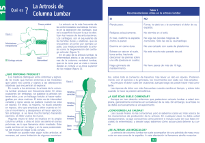 La Artrosis de Columna Lumbar - Liga Reumatologica Española