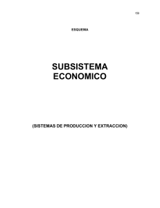 SUBSISTEMA ECONOMICO