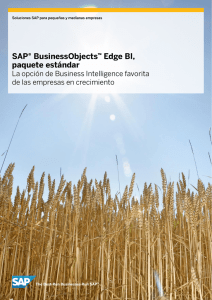 SAP BusinessObjects Edge BI Paquete estandar